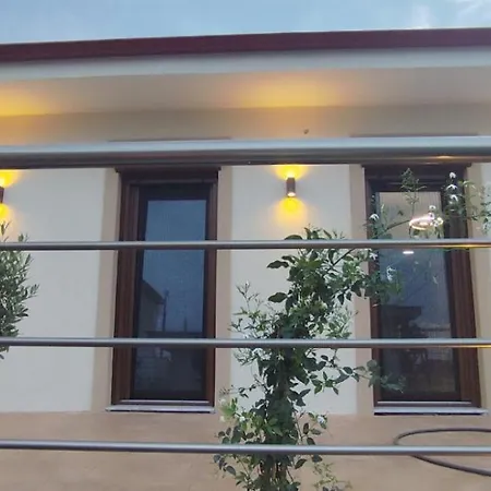 δίκταμο *
