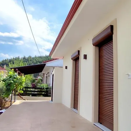 δίκταμο 公寓 Mouzaki (Karditsa)